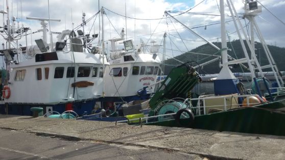 Hoy, por videoconferencia