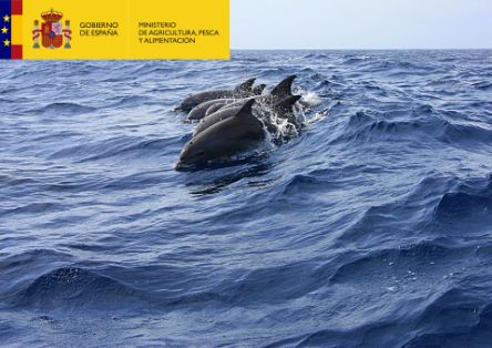 Se desarrollará en el golfo de Vizcaya y la costa ibérica