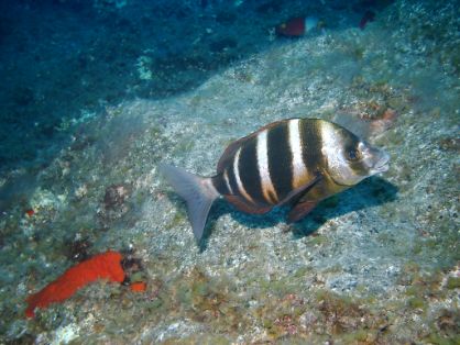 A partir de hoy, en la página web del ministerio