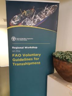 Entre el 11 y el 14 de diciembre 