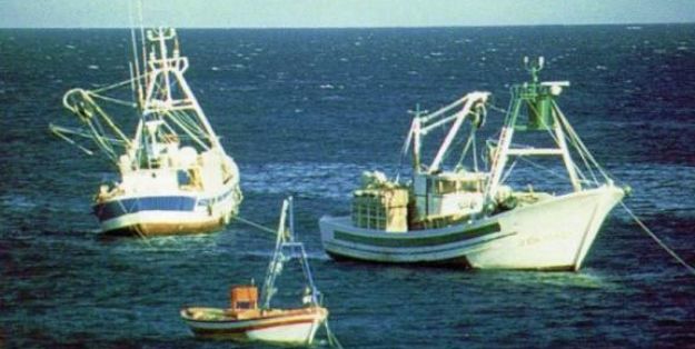 TAC y cuotas pesqueras