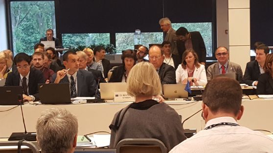 SE HA CELEBRADO EN TALLÍN (ESTONIA) DEL 17 AL 21 DE SEPTIEMBRE 