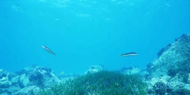 CONSEJO DE MINISTROS 