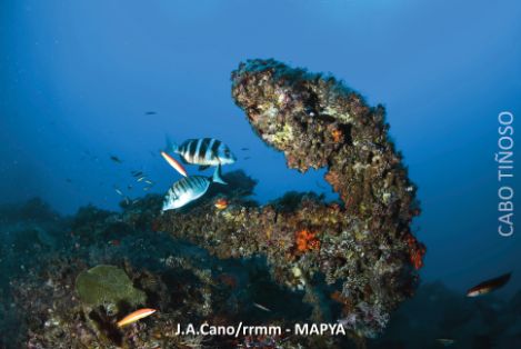 Integrada en la Red de Reservas Marinas desde 2017