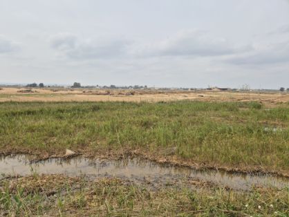 En el marco de las ayudas extraordinarias para las explotaciones afectadas por la dana 