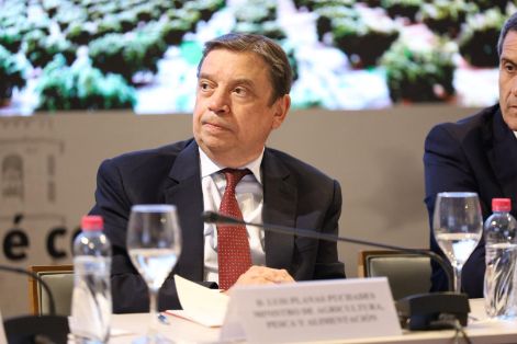 Hoy, en Úbeda (Jaén)