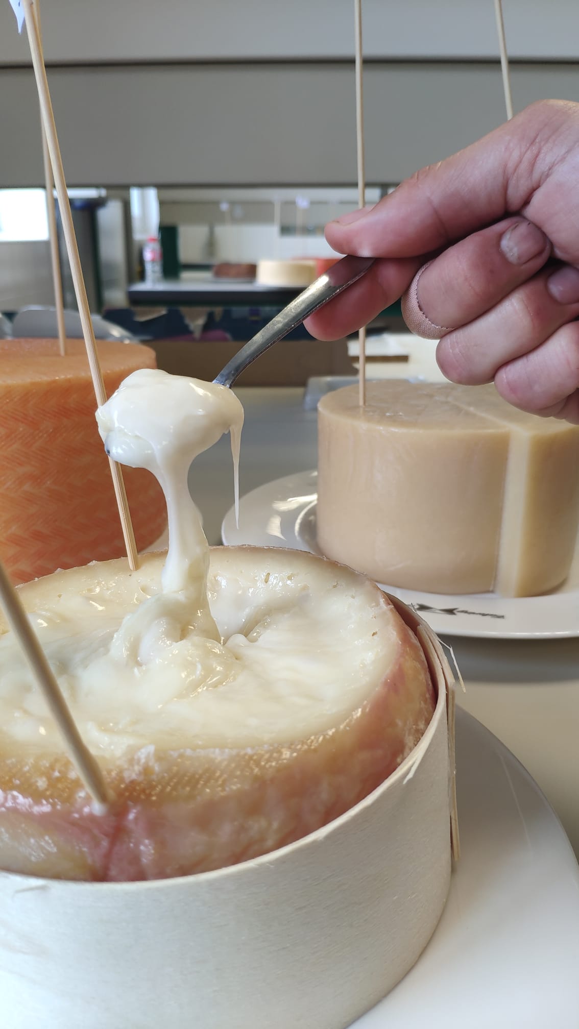 Imagen Cata Premio Alimentos de España Mejores Quesos 2023_6