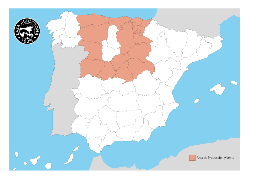 Asturiana de montaña