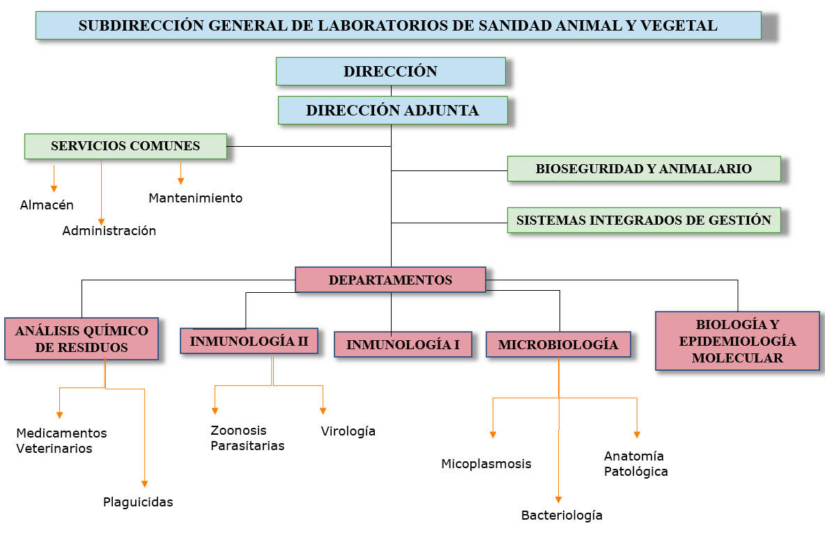 organigrama LCSA