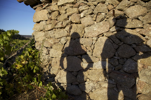 Diagnosticomanoobraagraria2