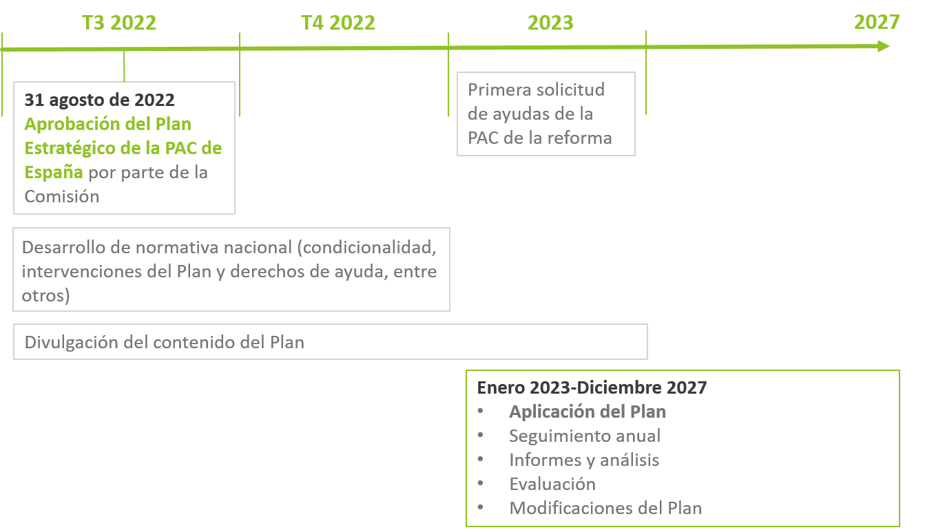 Cronograma próximos pasos