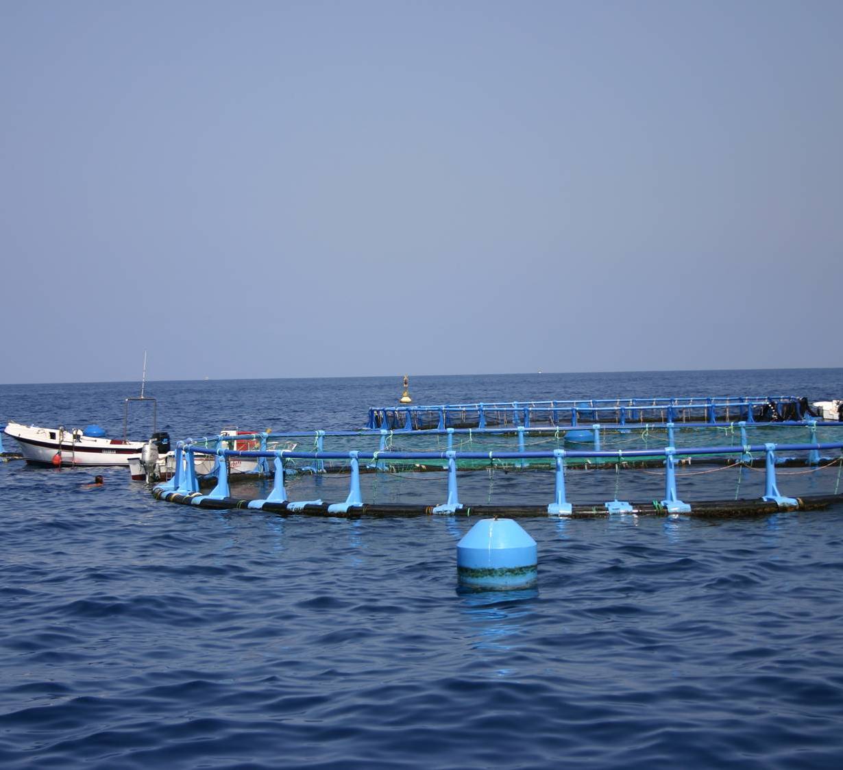 HOY, EN LA INAUGURACIÓN DE LA JORNADA AQUAHUB  