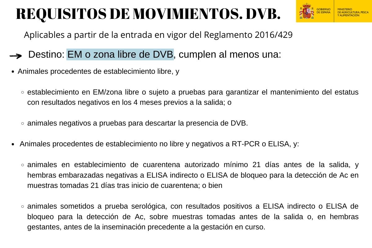 Movimientos DVB. EM libre