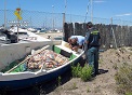 En el marco del ‘Plan Anual de Control Integral de Actividades Pesqueras (P.A.C.I.A.P.)’, la Guardia Civil decomisa dos embarcaciones de pesca y...