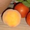 Imagen melocotón y tomate