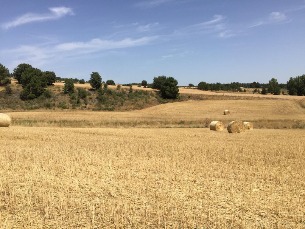 foto campo - soria