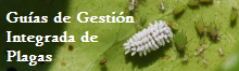 Enlace a Guías de Gestión Integrada de Plagas