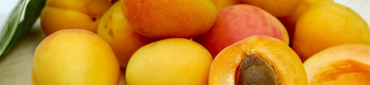 Grupo de albaricoques