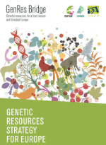Portada GenRes Bridge