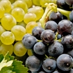 uvas
