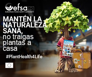 No traigas plantas a casa