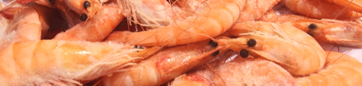 3_bannergambas