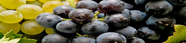 banner uvas
