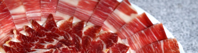 bannerplatojamon