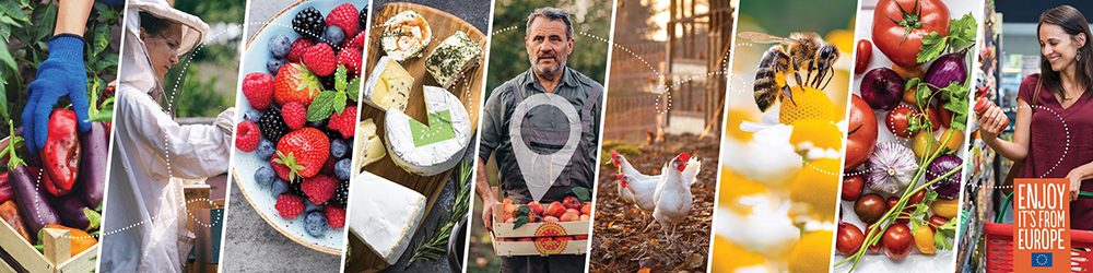 Banner convocatoria programas UE 2024