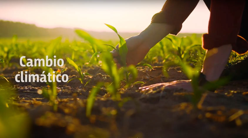 cambio-climatico