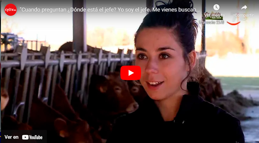 Cuando preguntan ¿Dónde está el jefe? 