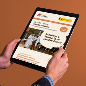 Newsletter diciembre 2024