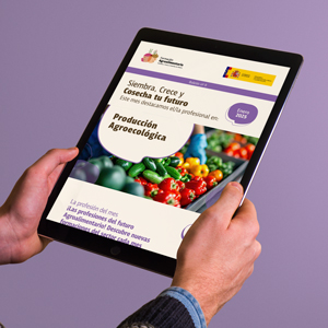 Newsletter enero 2025