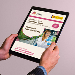 Newsletter noviembre 2024