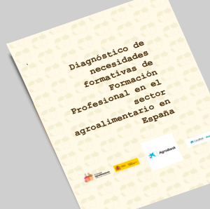 Diagnostico-necesidades-formativas-FP