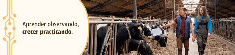 Formación Profesional