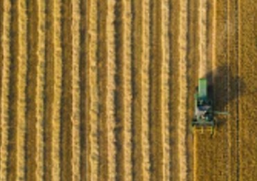 Foto D Caja Acceso a la Tierra