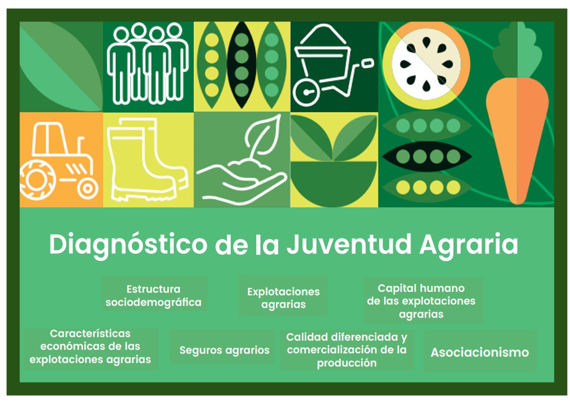 Ilustración de la portada del Diagnóstico de la juventud agraria, con los contenidos principales: estructura sociodemográfica, explotaciones...
