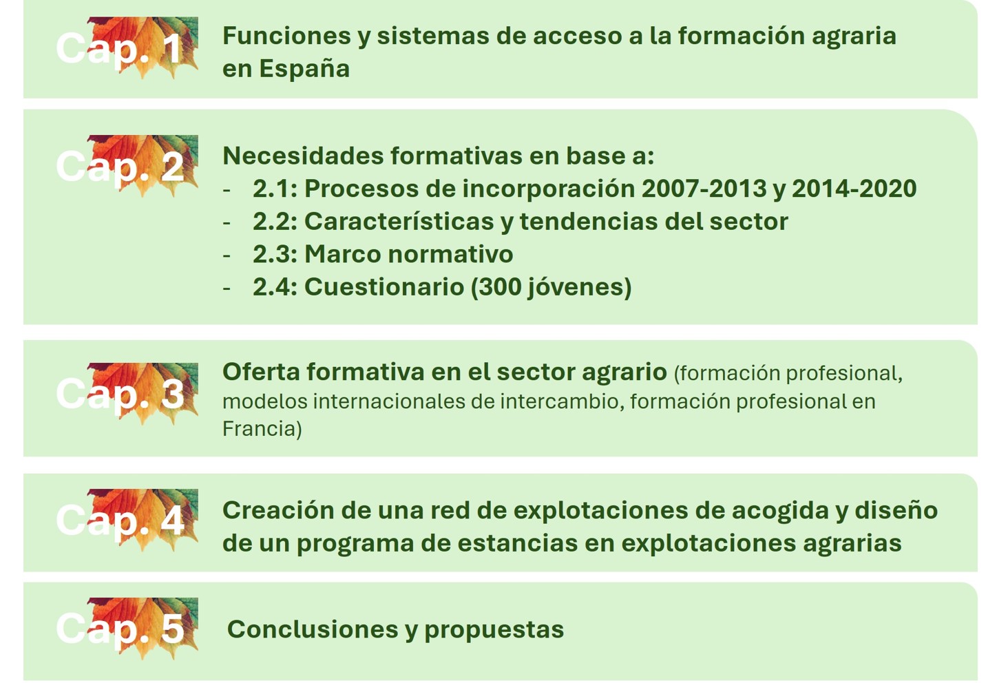 Ilustración del contenido del Estudio de Necesidades Formativas del Medio Rural estructurado en 5 capítulos que son los siguientes. Capítulo 1:...