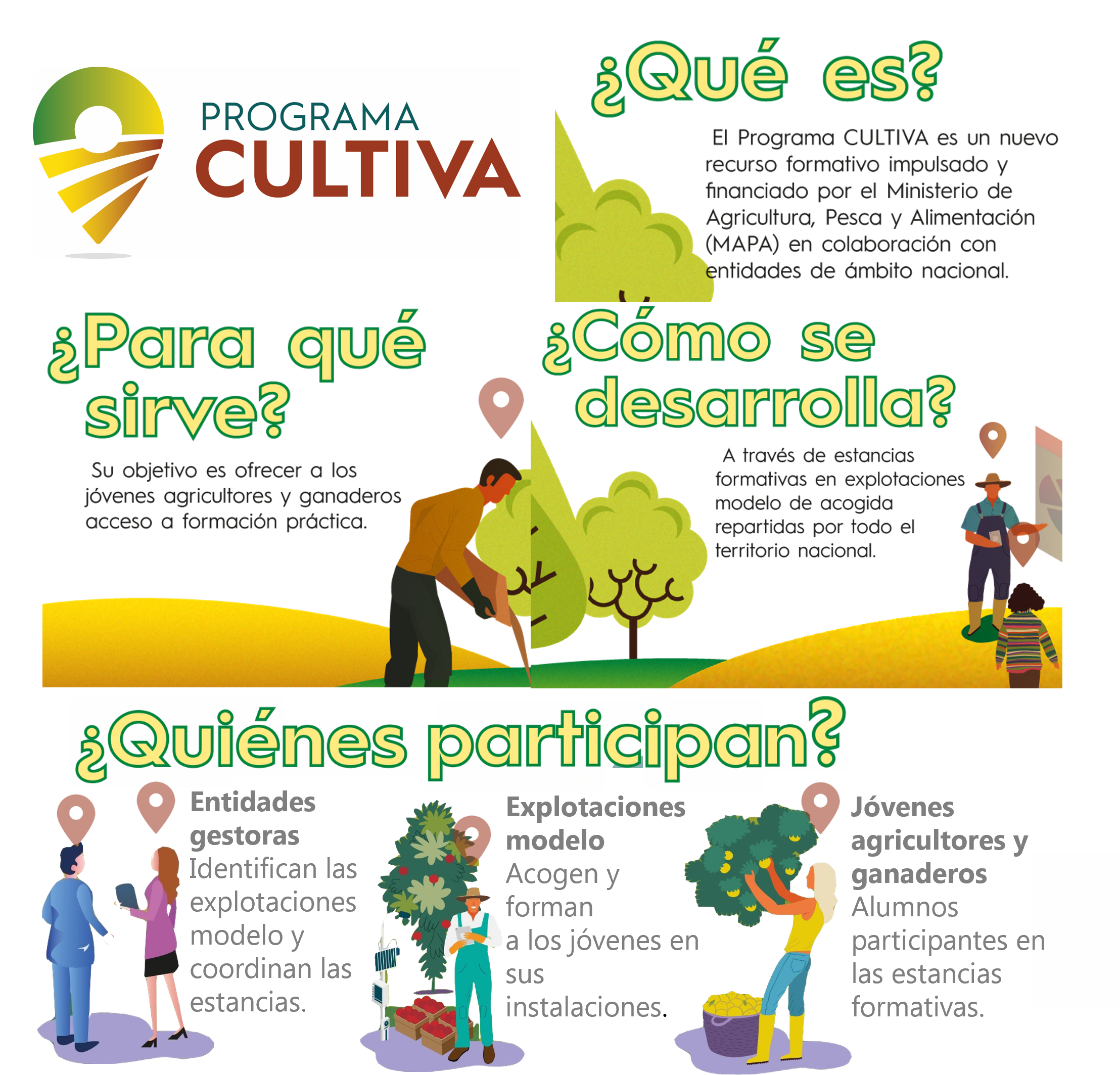 Qué es, para qué sirve, cómo se desarrolla y quiénes intervienen en el Programa CULTIVA