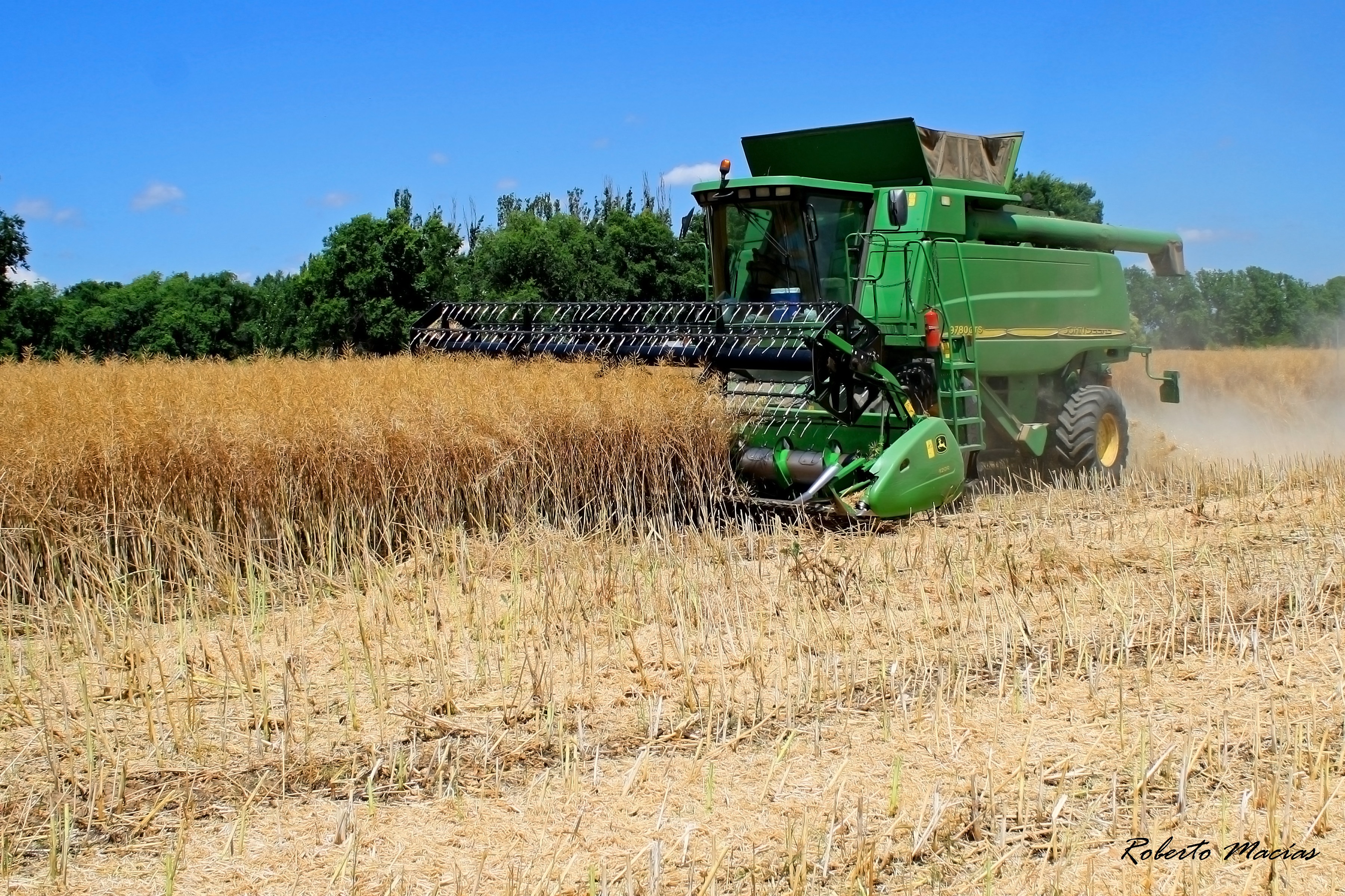 INICIO DE CAMPAÑA DE COSECHA EN EL  CENTER
