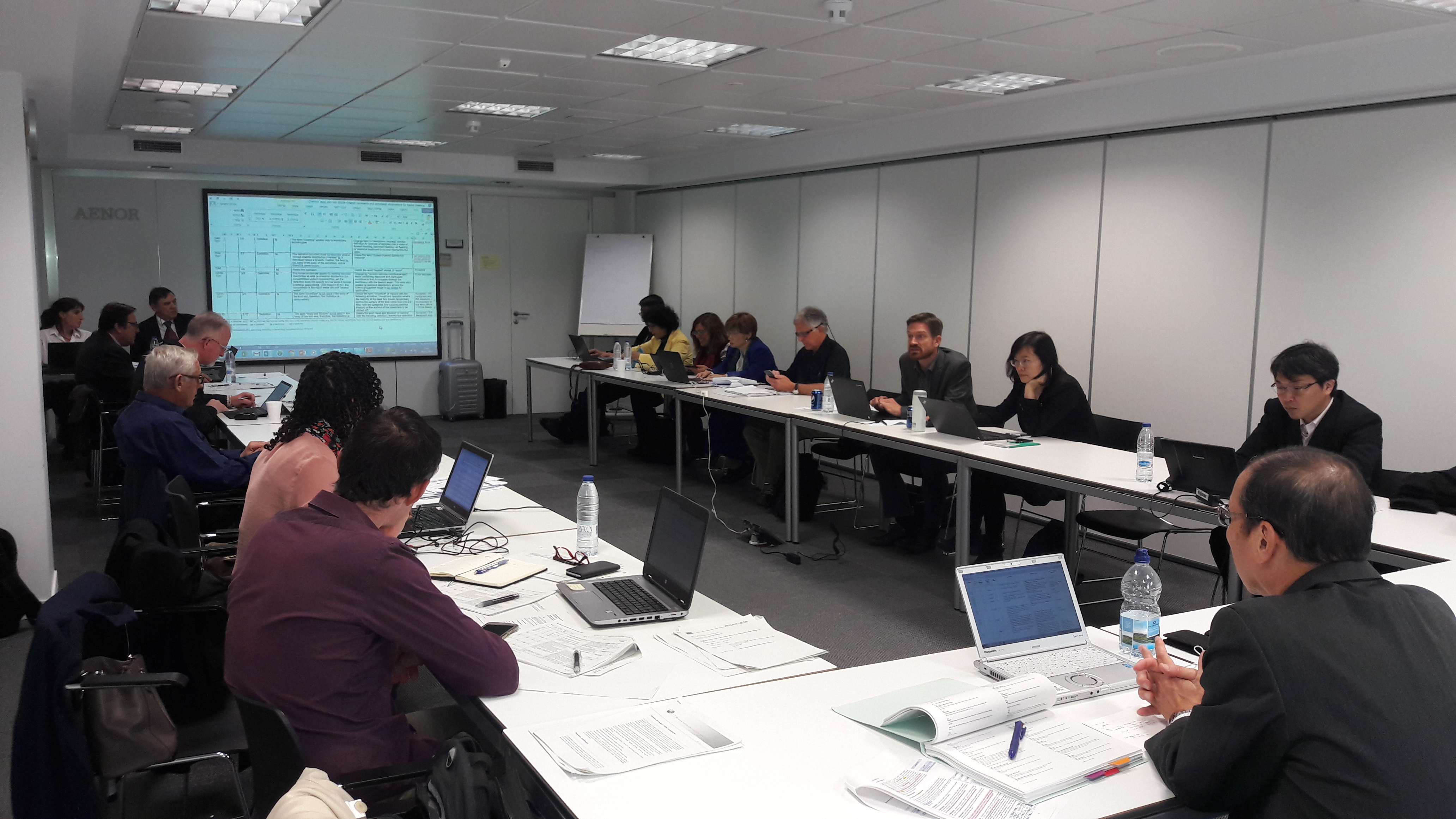 REUNIÓN INTERNACIONAL DEL SUBCOMITÉ TÉCNICO DE NORMALIZACIÓN 