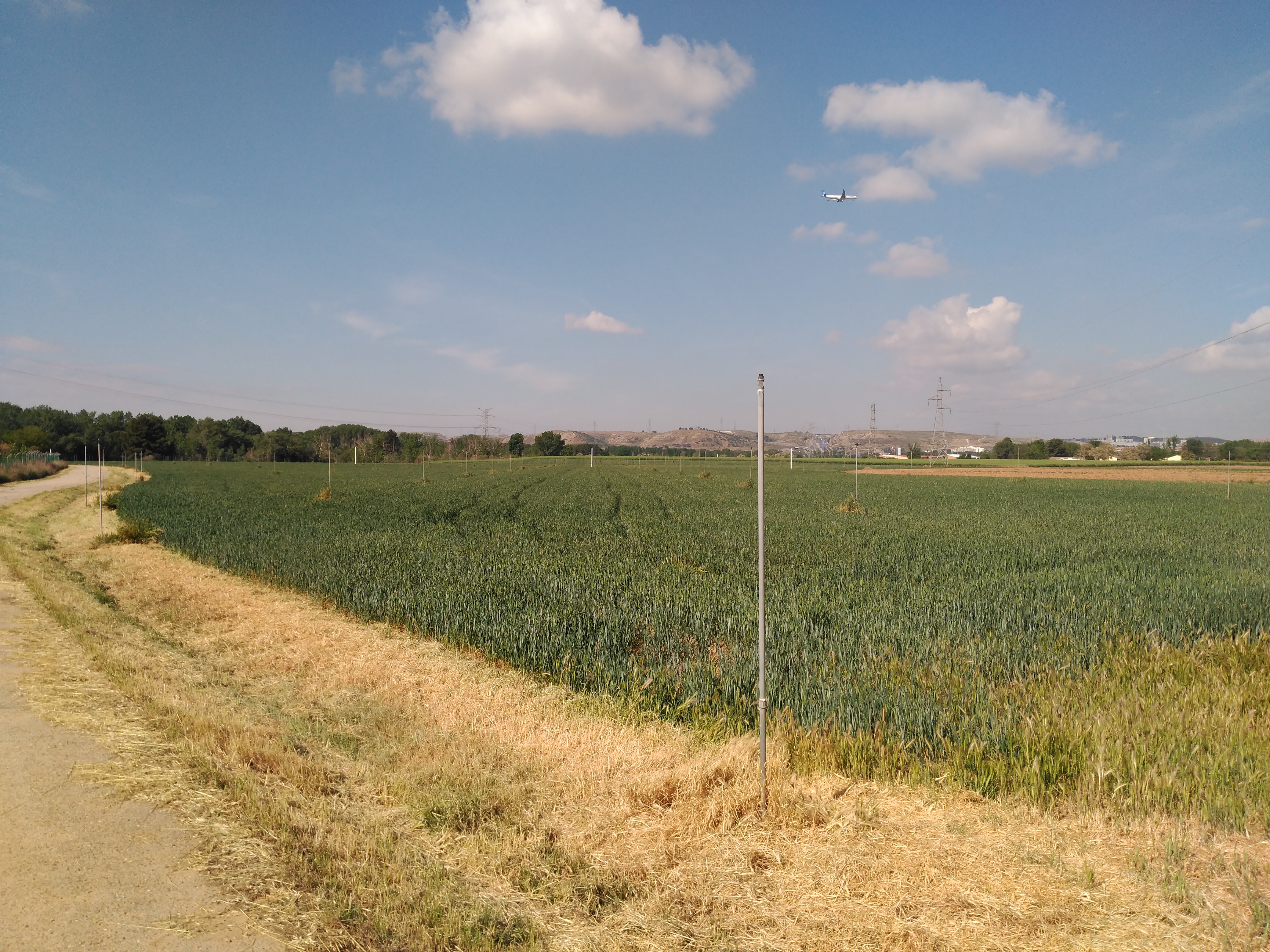 VISITA DE LOS ALUMNOS DEL MÁSTER DE INGIENERÍA AGRONÓMICA