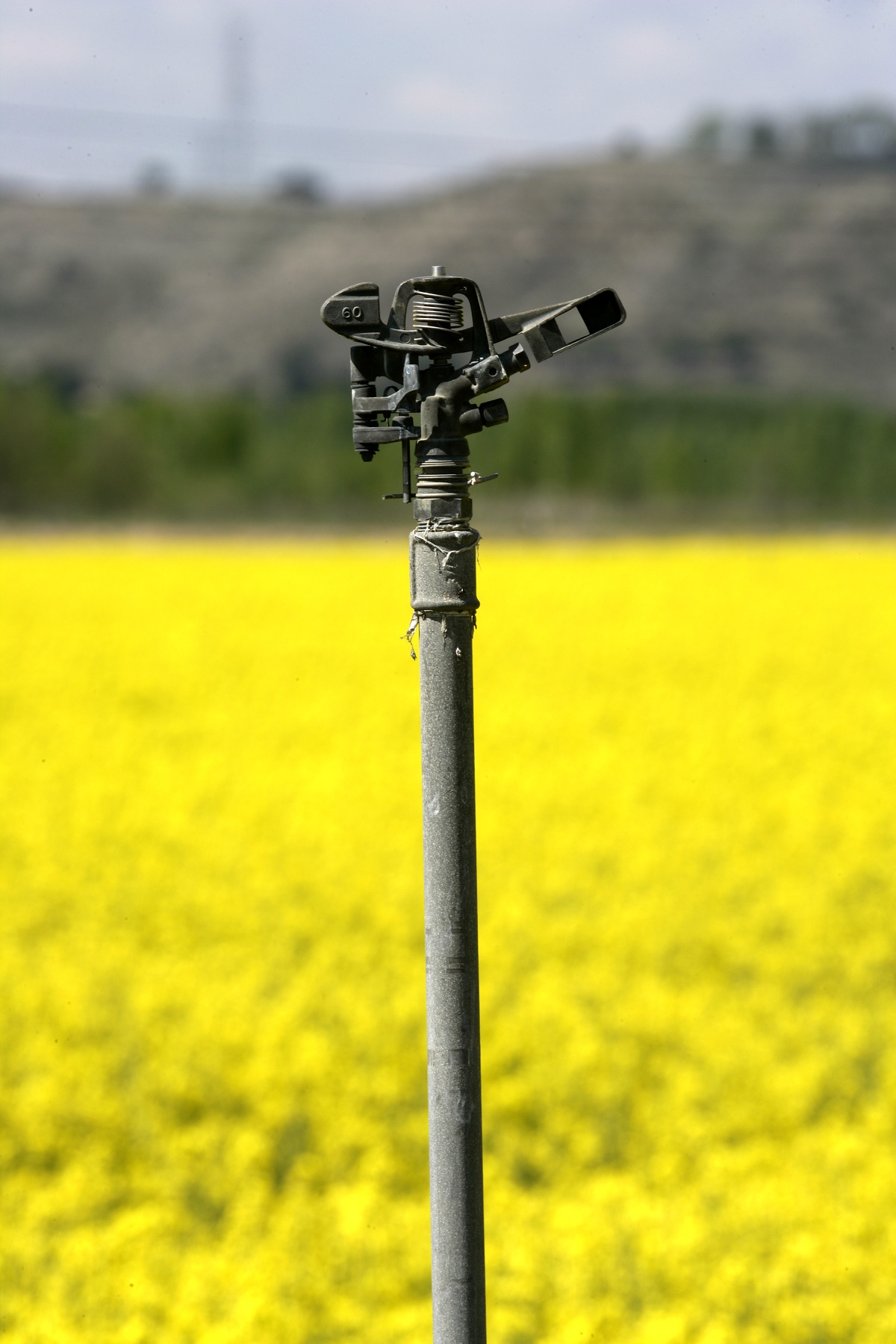 Norma UNE 318001:2017 “Equipos para riego. Aspersores. Requisitos generales y métodos de ensayo”