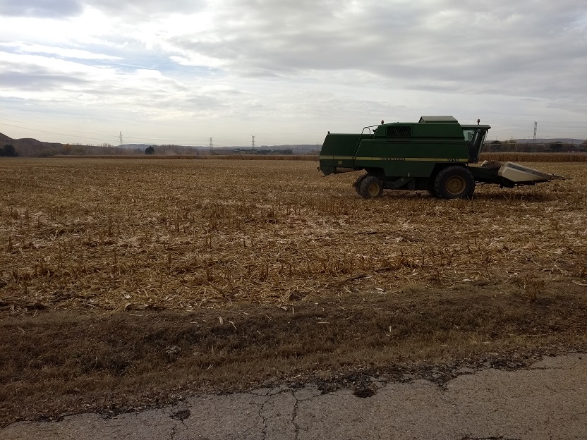 GRAN RENDIMIENTO EN LA COSECHA DE MAÍZ DEL CENTER