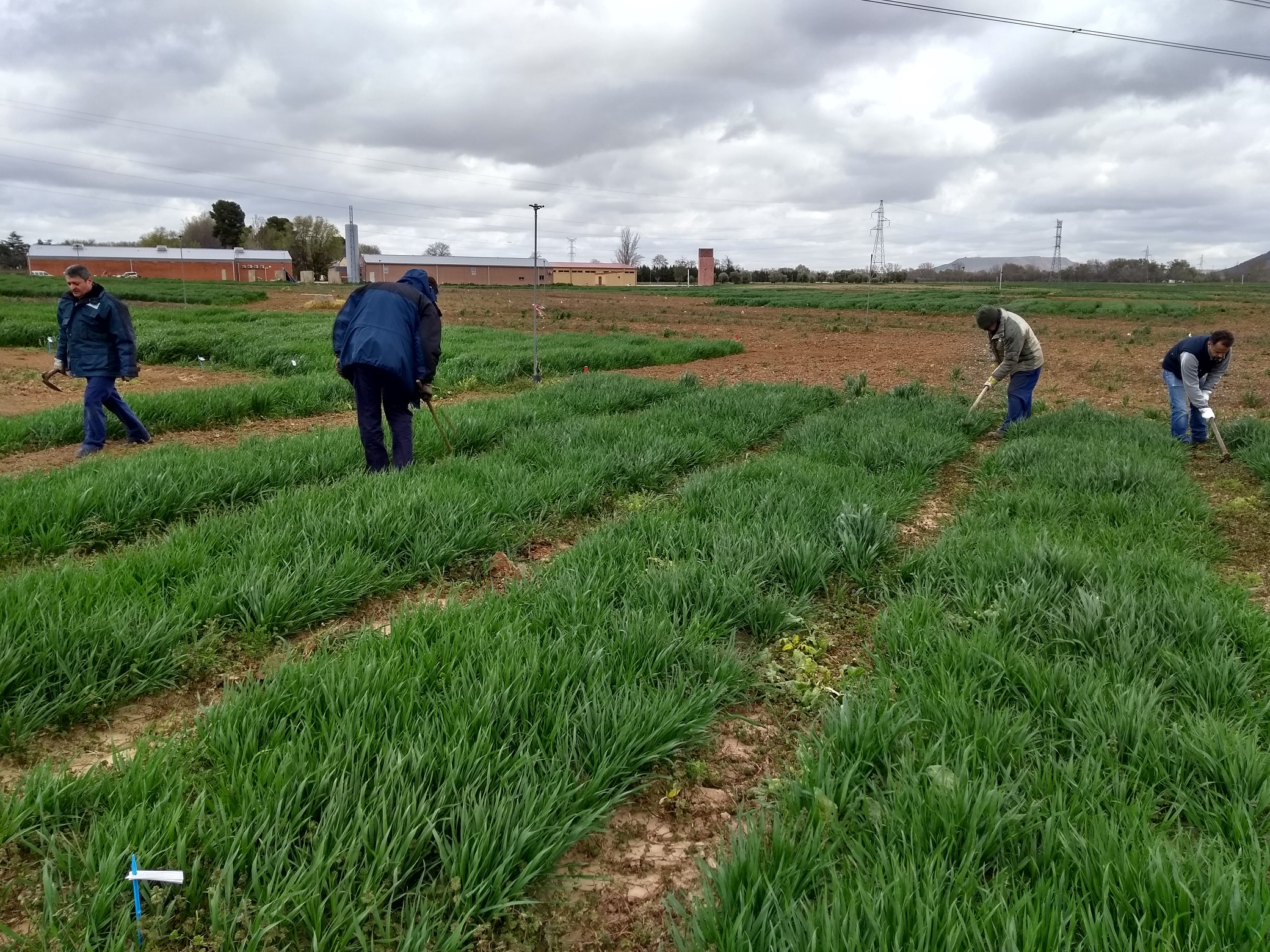 Intensas labores en el CENTER de limpieza y acondicionamiento a 1 mes de GENVCE 2018   