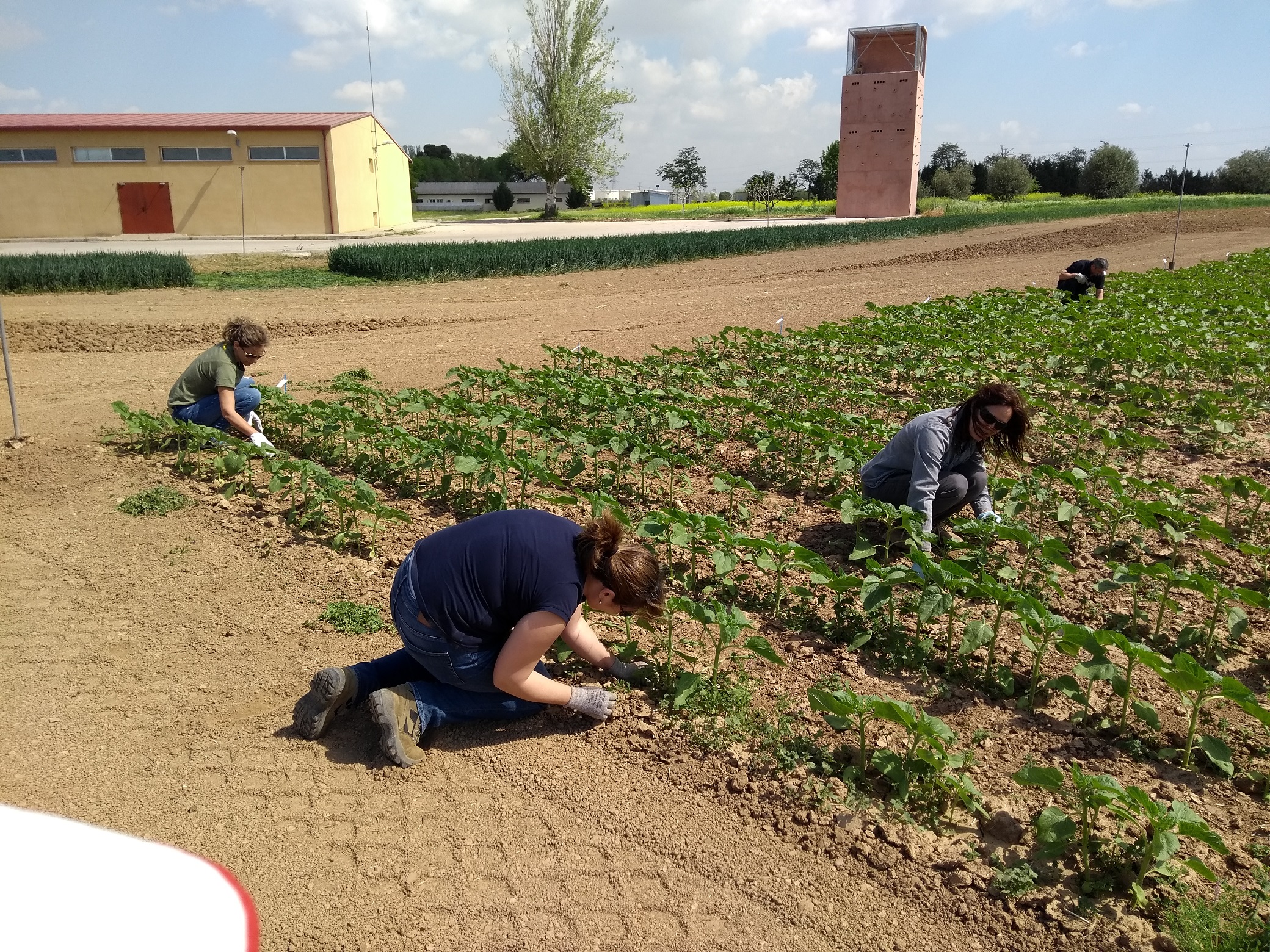 A pocos días de la celebración de GENVCE 2018