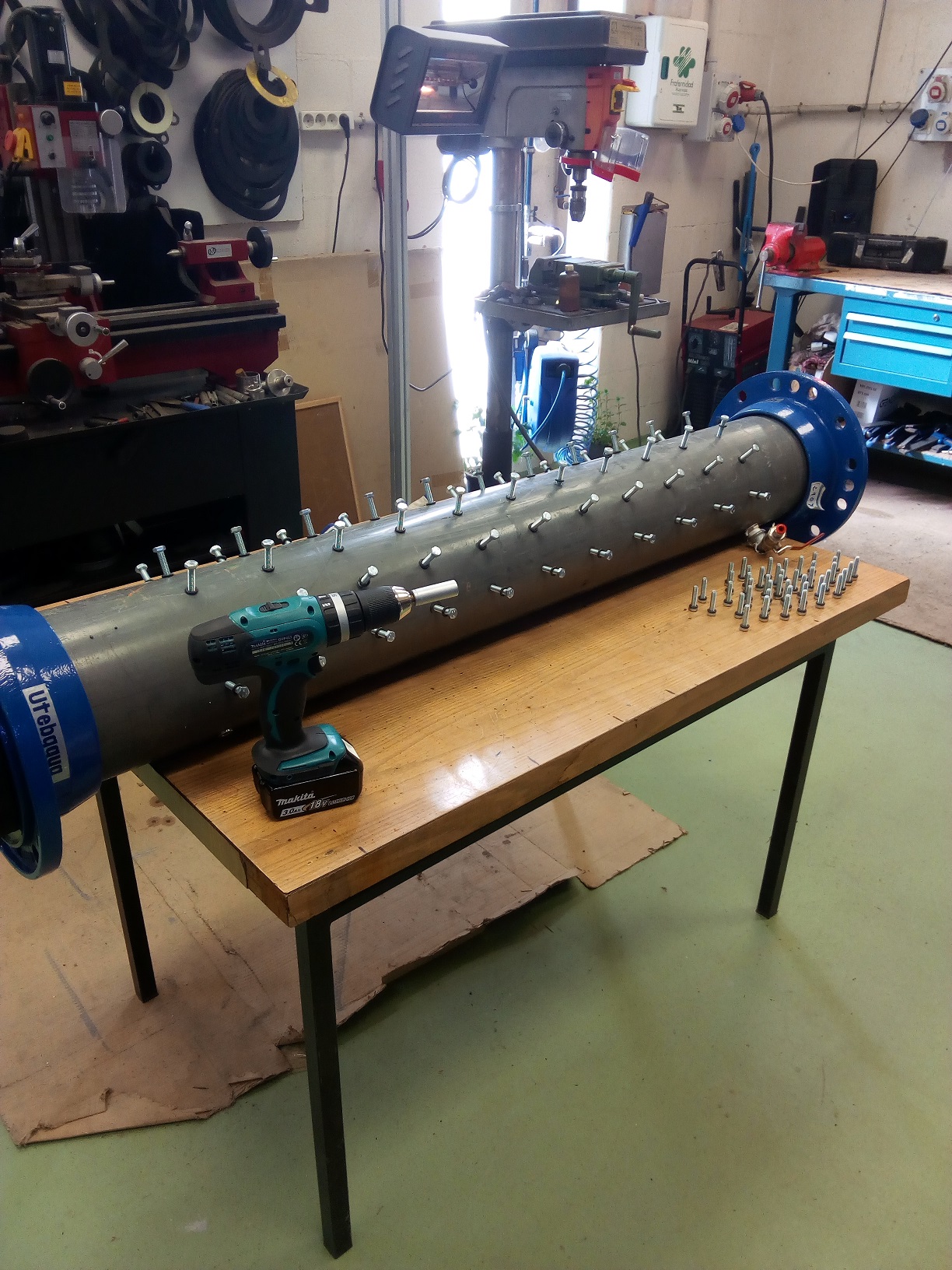 SE RETOMAN LOS ENSAYOS PARA LA DETECCIÓN PRECOZ DEL MEJILLÓN CEBRA