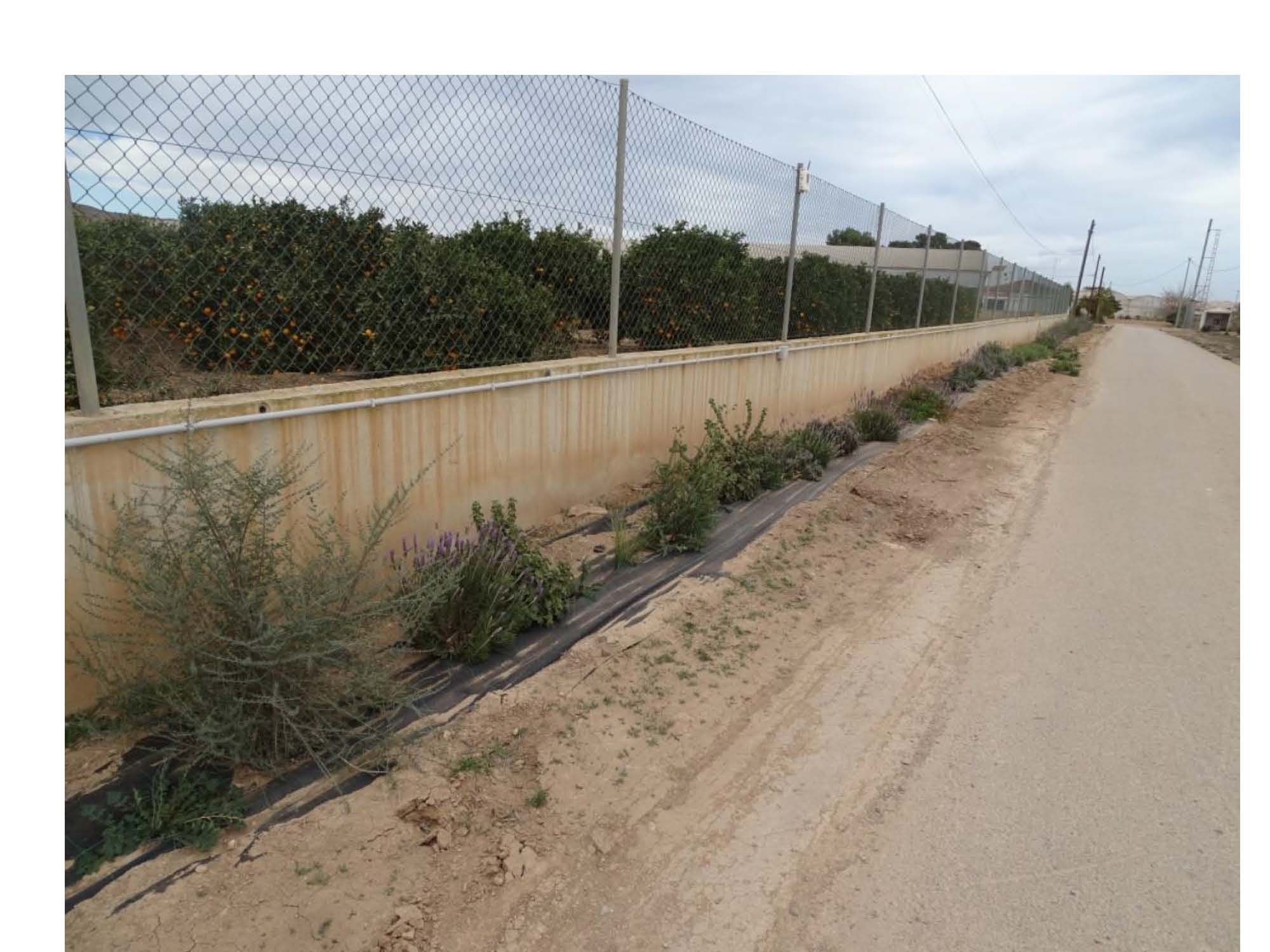 JORNADA TÉCNICA SOBRE 