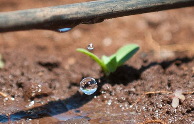JORNADA TÉCNICA “FERTIRRIGACIÓN-AGUAS REGENERADAS